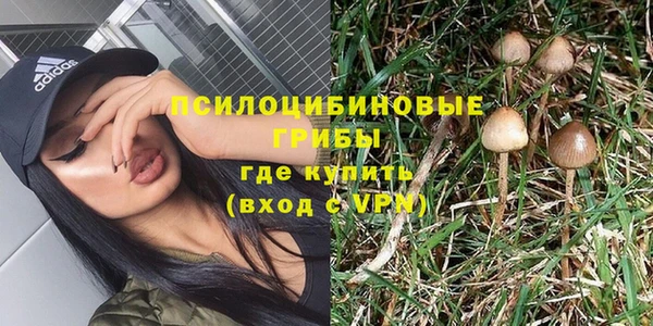 мяу мяу мука Белоозёрский