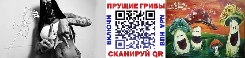 как найти Вязники мега ССЫЛКА Псилоцибиновые грибы GOLDEN TEACHER